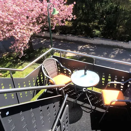 Apartment Studio Berbourg